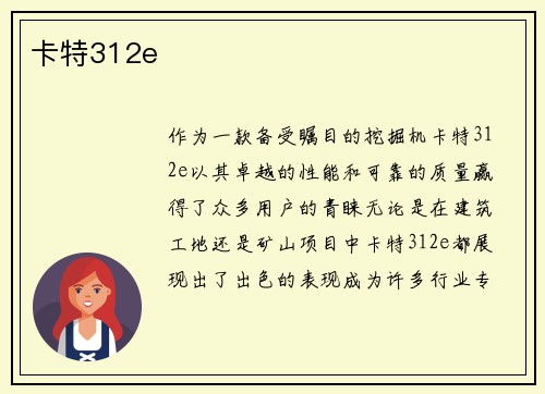 卡特312e