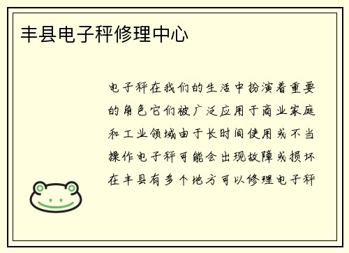 丰县电子秤修理中心